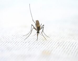 cdc malaria warning